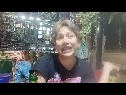 Thai Ladyboy about lie is a sin in Thailand! - Pattaya and Bangkok Ladyboys